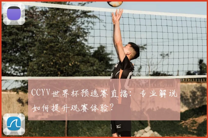 CCYV世界杯预选赛直播：专业解说如何提升观赛体验？