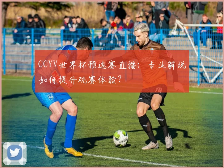 CCYV世界杯预选赛直播：专业解说如何提升观赛体验？